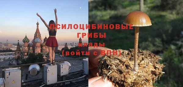 синтетический гашиш Алексин