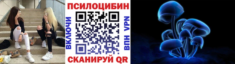 как найти наркотики  Когалым  Галлюциногенные грибы мухоморы 